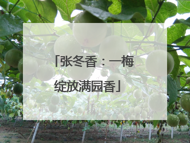 张冬香：一梅绽放满园香